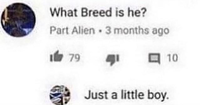 the little guys ever tweet media