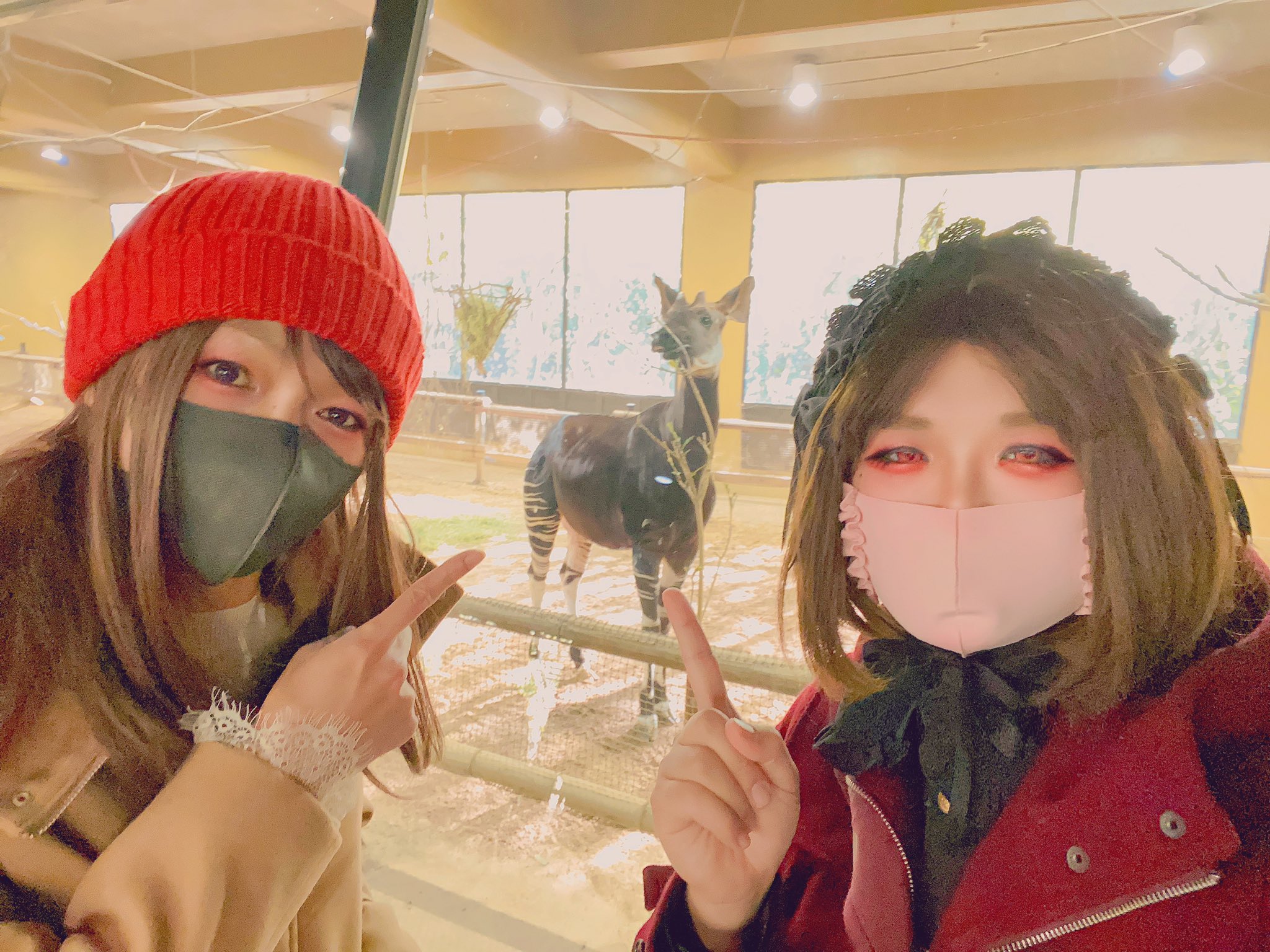 彩－Aya－♂ポケカ初心者 on Twitter: "昨日ね、お友達が増えたの(⸝⸝ ´艸`⸝⸝) 一緒に動物園行ったり、上野公園お散歩したり