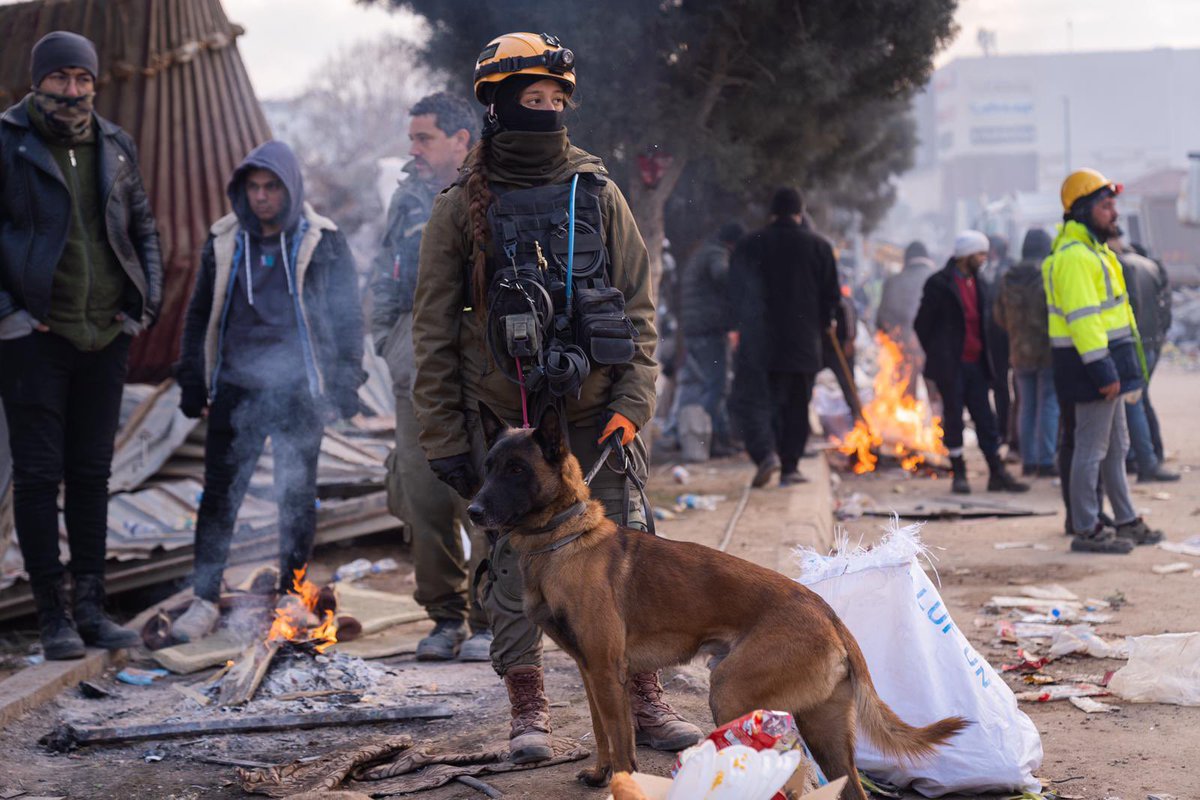 domdyer70's tweet photo. The dog heroes #TurkishEarthquake https://t.co/3gRGGvBo44