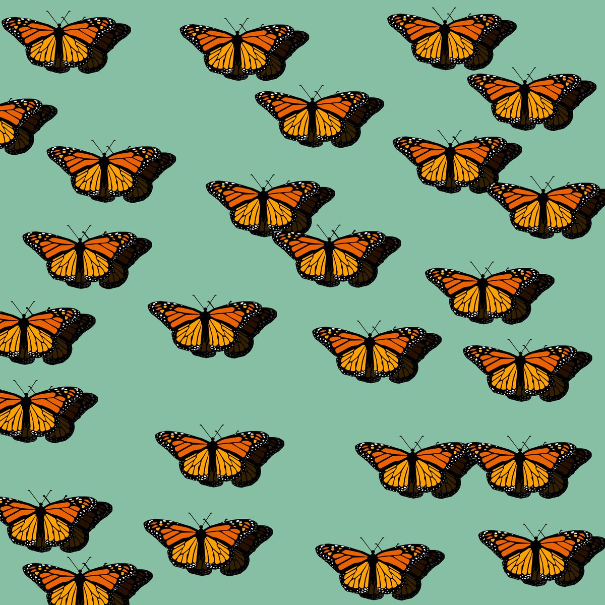 JasonGreenstein's tweet photo. Monarchs #p5js #processing #creativecoding https://t.co/9pZ6JUNOXw