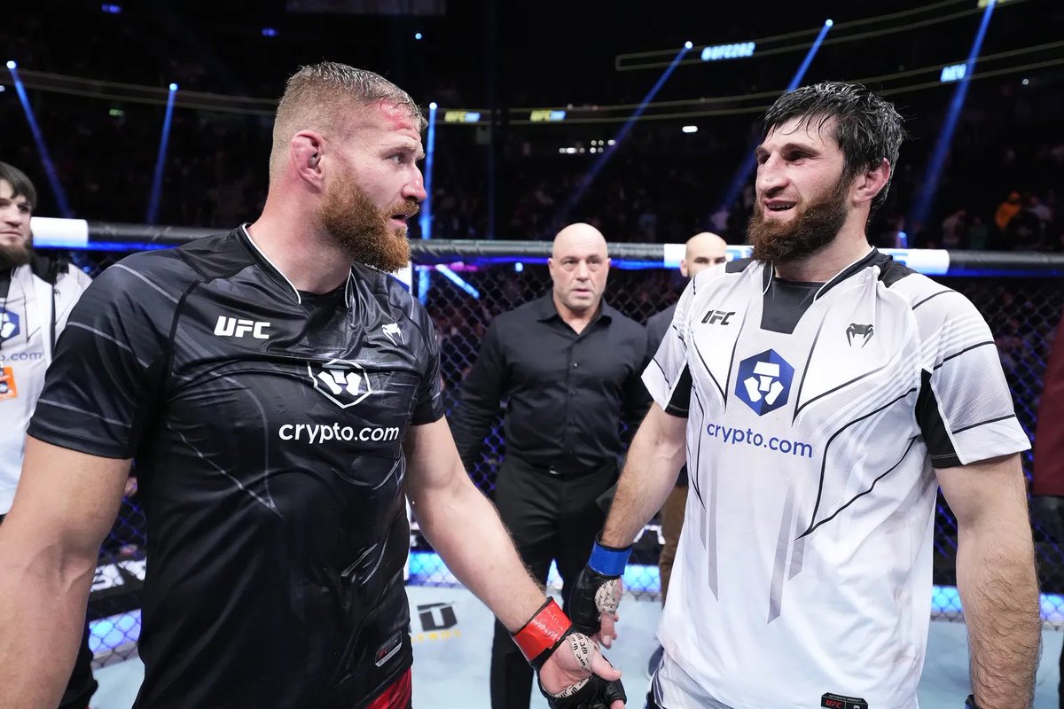 brawnybear_'s tweet photo. Robbed, robbed, robbed. #Volkanovski https://t.co/Kg3E3KiXqK