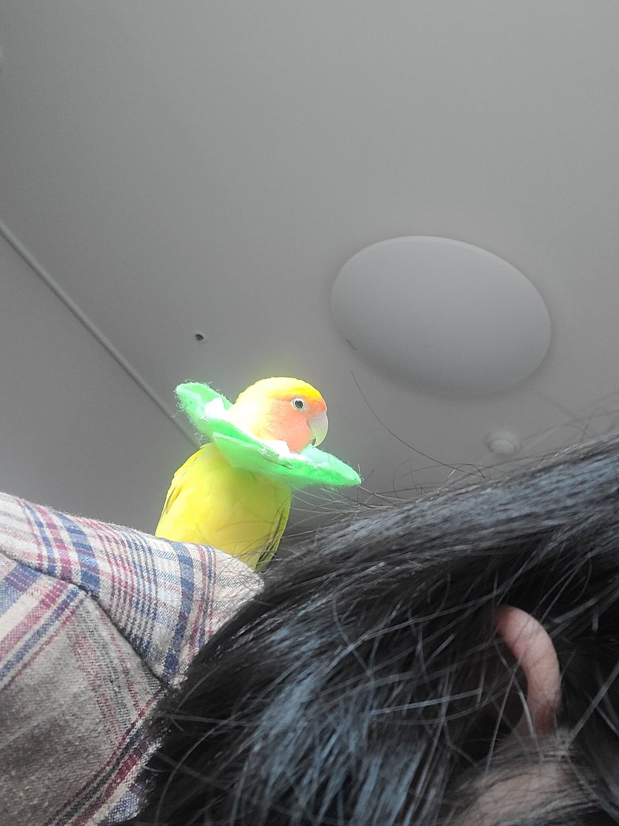 언니 등으로 등산한 뀰....!! 곧 알바가야하는대 정말 가기싫다.....