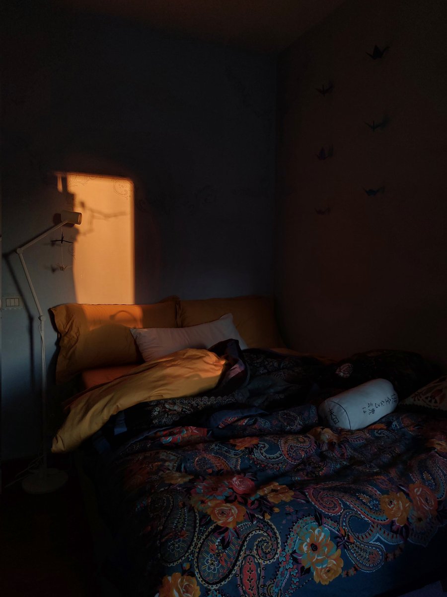 Elisa di Caprio (@elliedic) on Twitter photo 