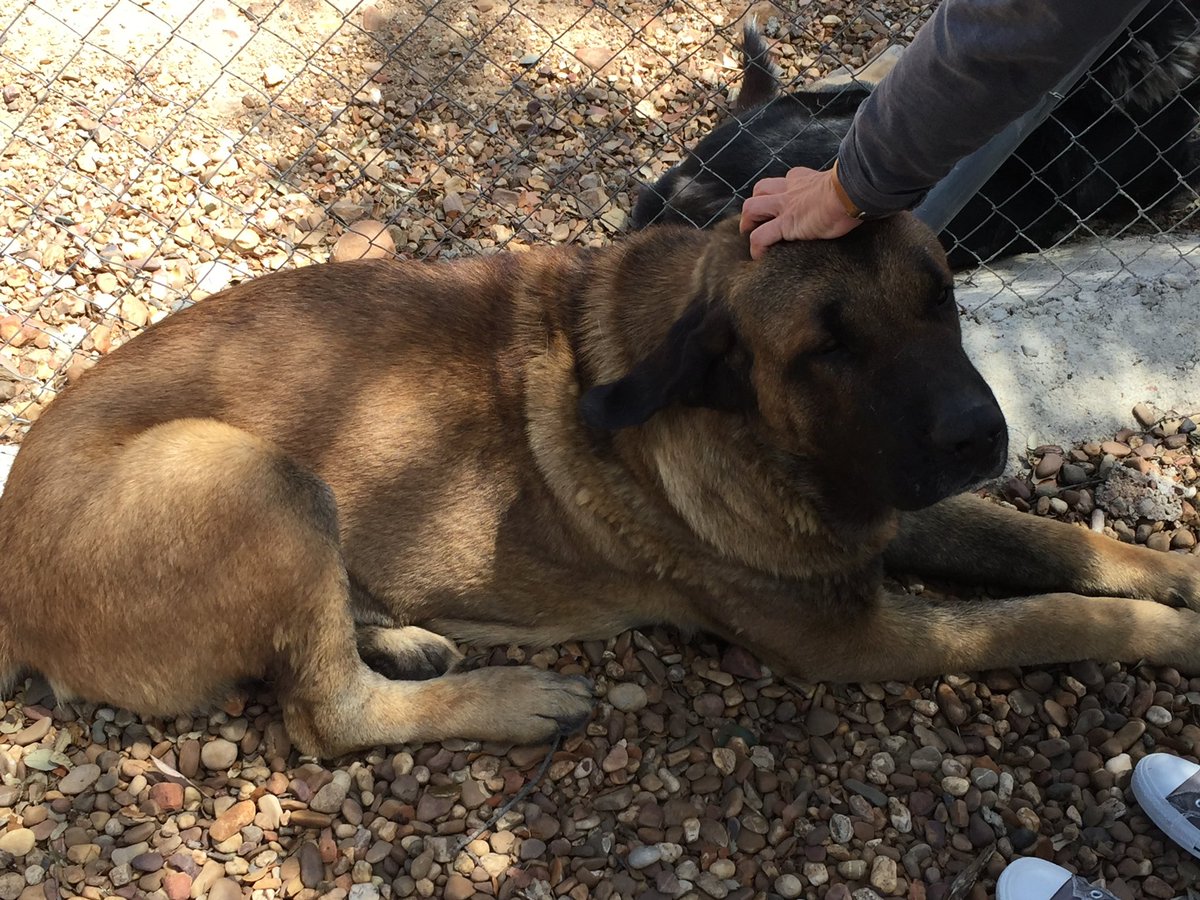 Tim Jackson tweet media