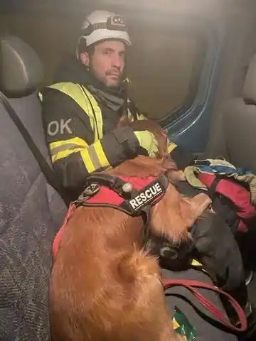 nuagique's tweet photo. İsveç 🇸🇪
Killian (3 kişiyi kurtardı) https://t.co/0n3fJqUptI