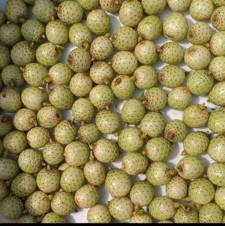 যদি চিনতে পারেন তাহলে বুঝবো আপনার শৈশব অনেক মধুর ও সুন্দর ছিল