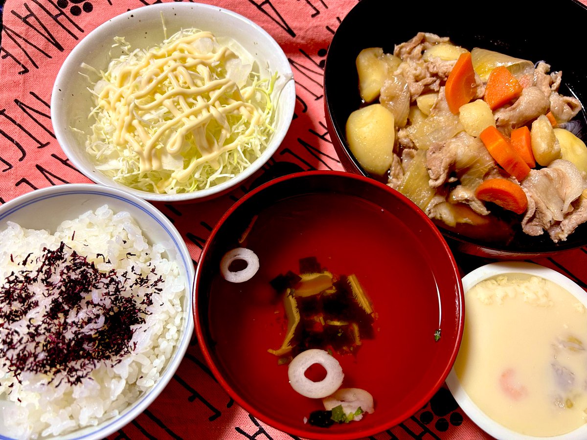 「今日のメメメ飯〜肉じゃがとなぜか唐突に食べたくなったゆかりご飯〜 」|東雲メメのイラスト