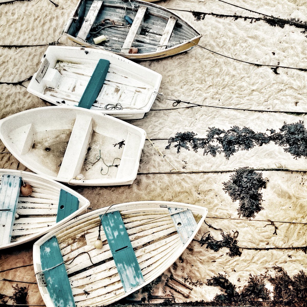 Joy Aitman photos tweet media