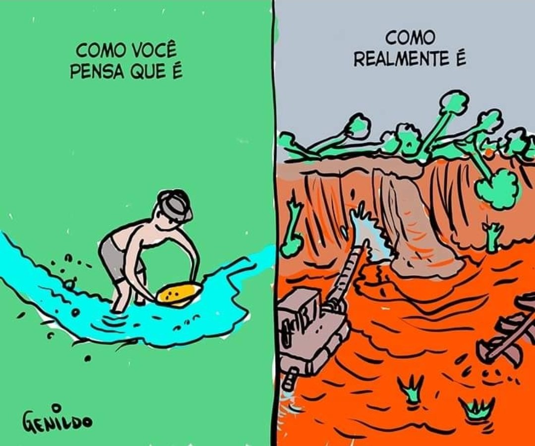 MemesAmbientais (@ambientaismemes) on Twitter photo 