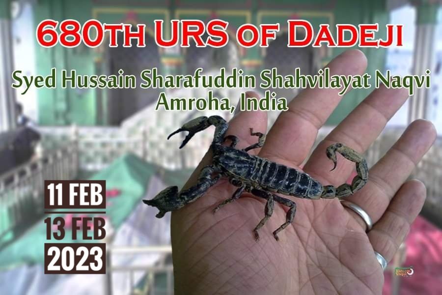 SyedShahvilayat's tweet photo. Preparations for 680th #Urs are going on at Dargah Syed Hussain #Sharafuddin #Shahvilayat Naqvi. Sharing the latest pictures with you.
#UrsDadeji https://t.co/InkN0IQxkC