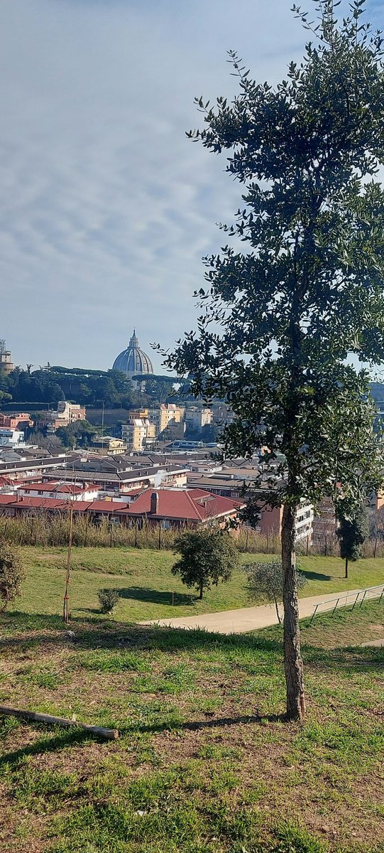Breathless view after a long run.
Thanks Rome!