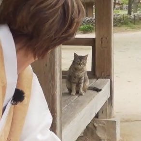 이거 서로를 쳐다보는 구도가 너무 웃김 아
