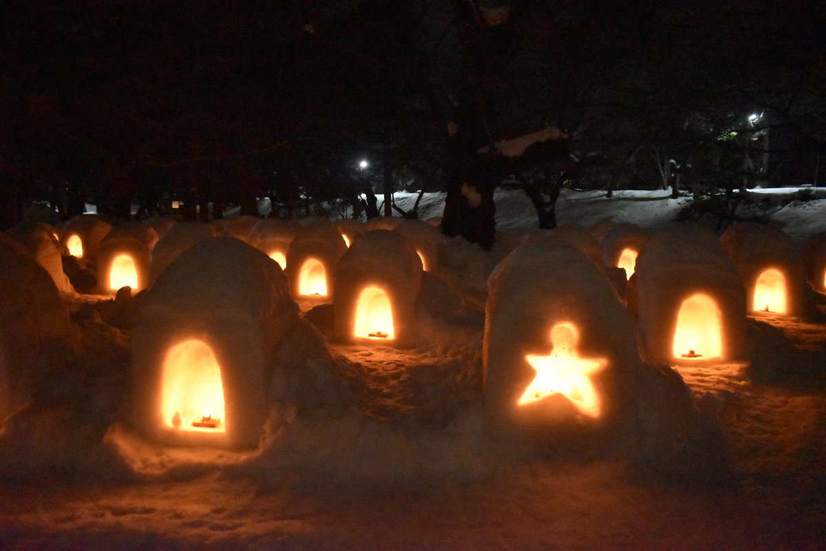 とらしぐ on Twitter 