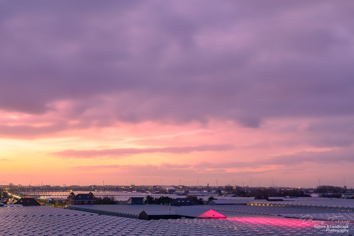 DannyTaheij's tweet photo. Ik loop een beetje achter met de foto's.. dus ga ik een beetje spammen... in Januari was deze mooie sunrise boven het Westland. @DZK_Westland @Bezoek_westland @GemWestland @ZHLandschap @NPHollandsduin #duinbehoud #nikonnl #iamnikonnl #dezeekust #westland #natuur #sunset #fotohafo https://t.co/9zDWq0cfsr