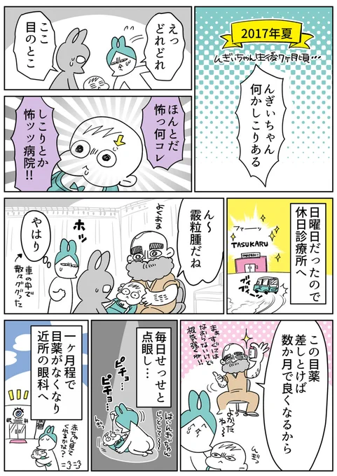 フォースオピニオンの末、1歳で全身麻酔手術した話1/2
#漫画が読めるハッシュタグ #育児漫画 