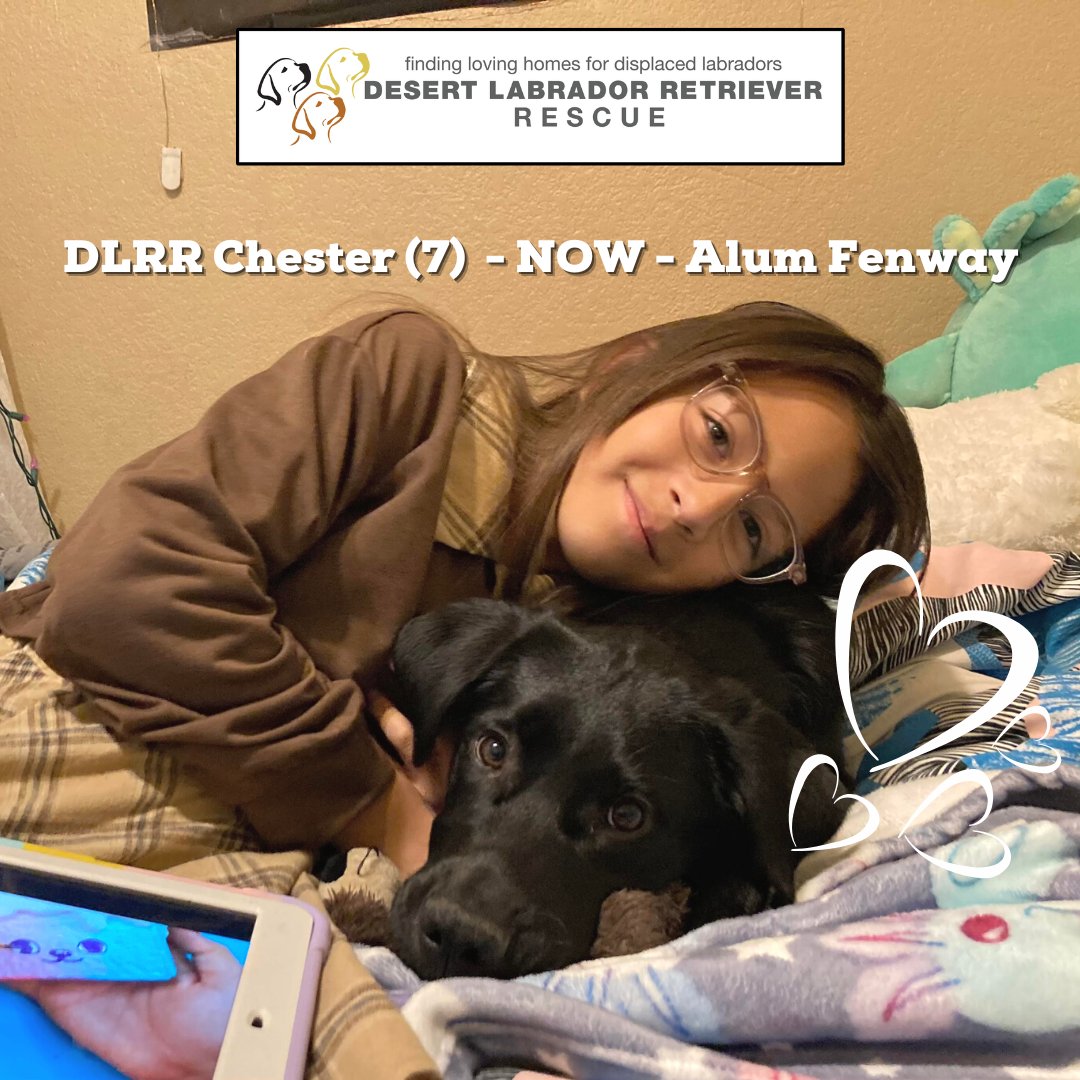 Desert Lab Rescue tweet media