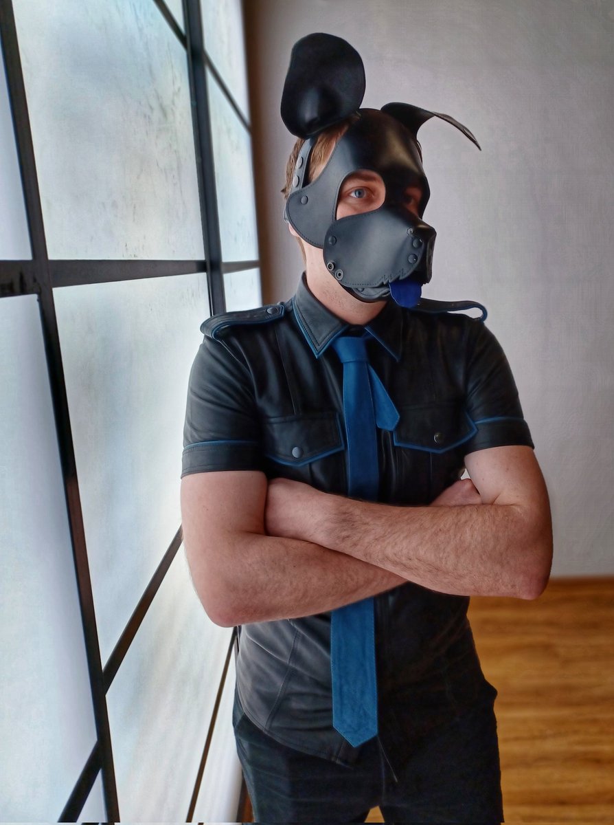 SpecCZE's tweet image. What's you doing there naughty pup? 
📸 @TaciCZ