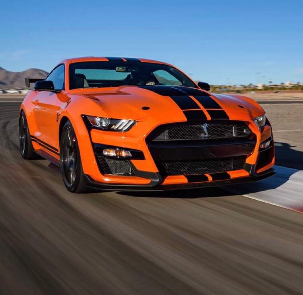 Cobra3dD's tweet photo. “ Have a great Shelby Sunday everyone “  🧡🖤🧡 https://t.co/uwUJF3agGX