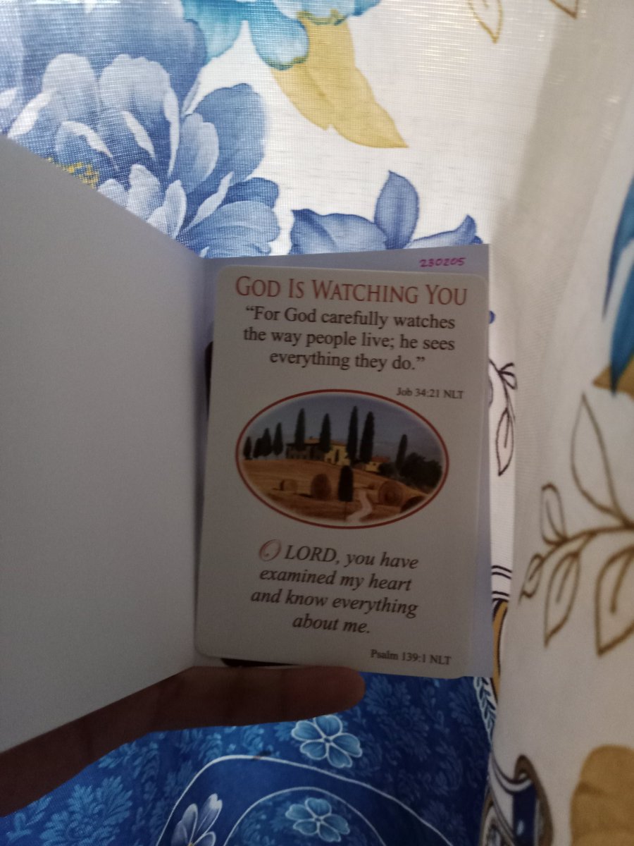 Ryl || IA tweet media