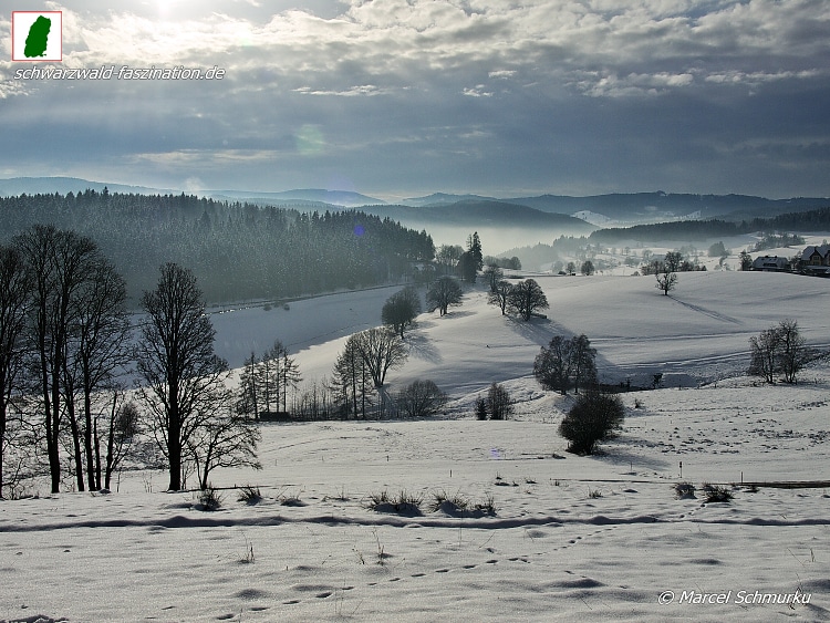 schmurku's tweet photo. Saig, Lenzkirch #germany #blackforest #blackforestgermany #blackforestgraphers #visitgermany #visitblackforest #visitbawu #visitbadenwürtemberg #bwjetzt #meinbw  #landschaftsfotografie #badenwürttemberg #germannature #schwarzwaldinbilder #schwarzwald_in_bilder https://t.co/Kn5Sa5cDju