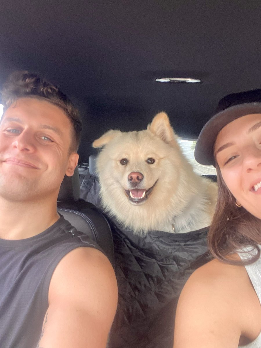 ejsokias's tweet photo. 🦊🚗💨 https://t.co/5QXws4ylvj