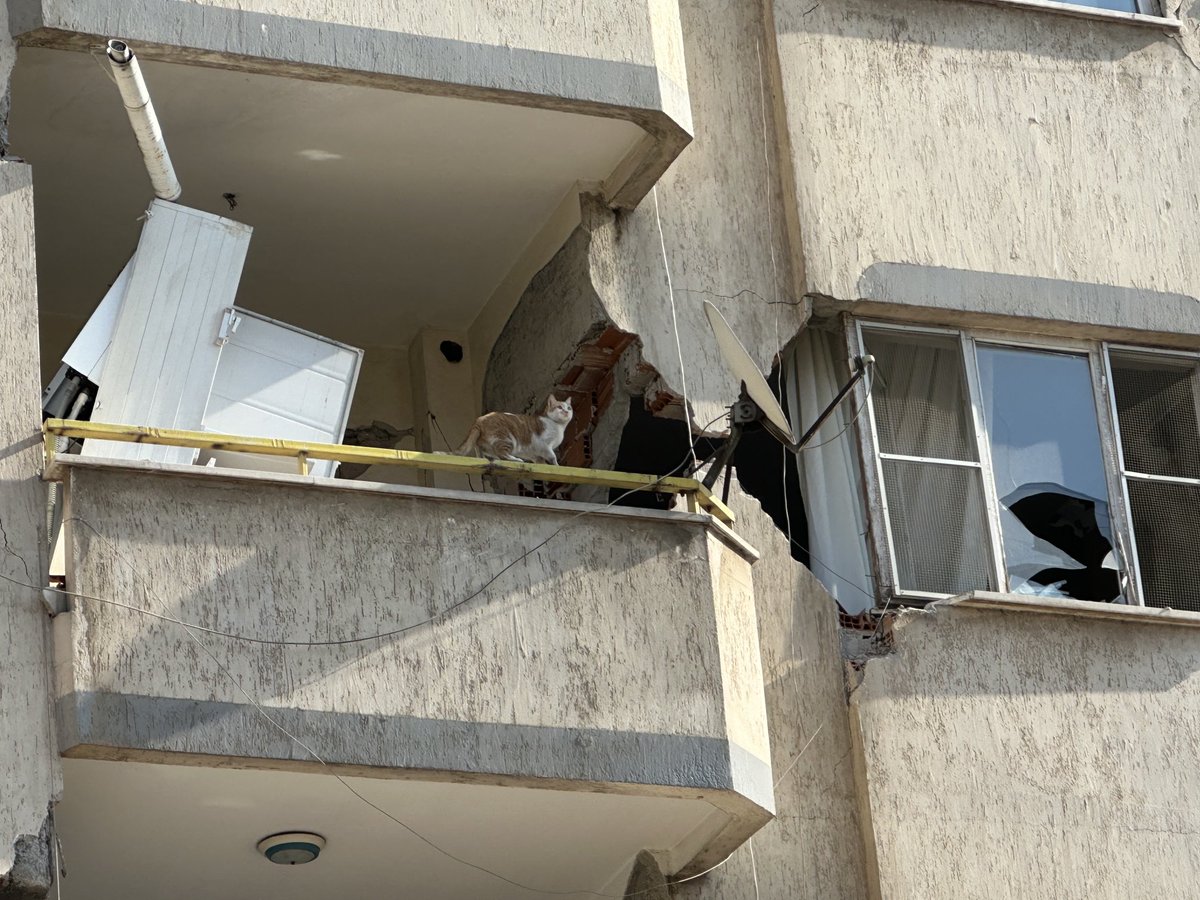 rmrmrmmrmrmr's tweet photo. Maraş Trabzon caddesi Yağmur apt 2.katta mahsur kalmış. Lütfen yardım ⁦@AFADBaskanlik⁩ ⁦@buyuksehirkm⁩ https://t.co/EoVMGslw78