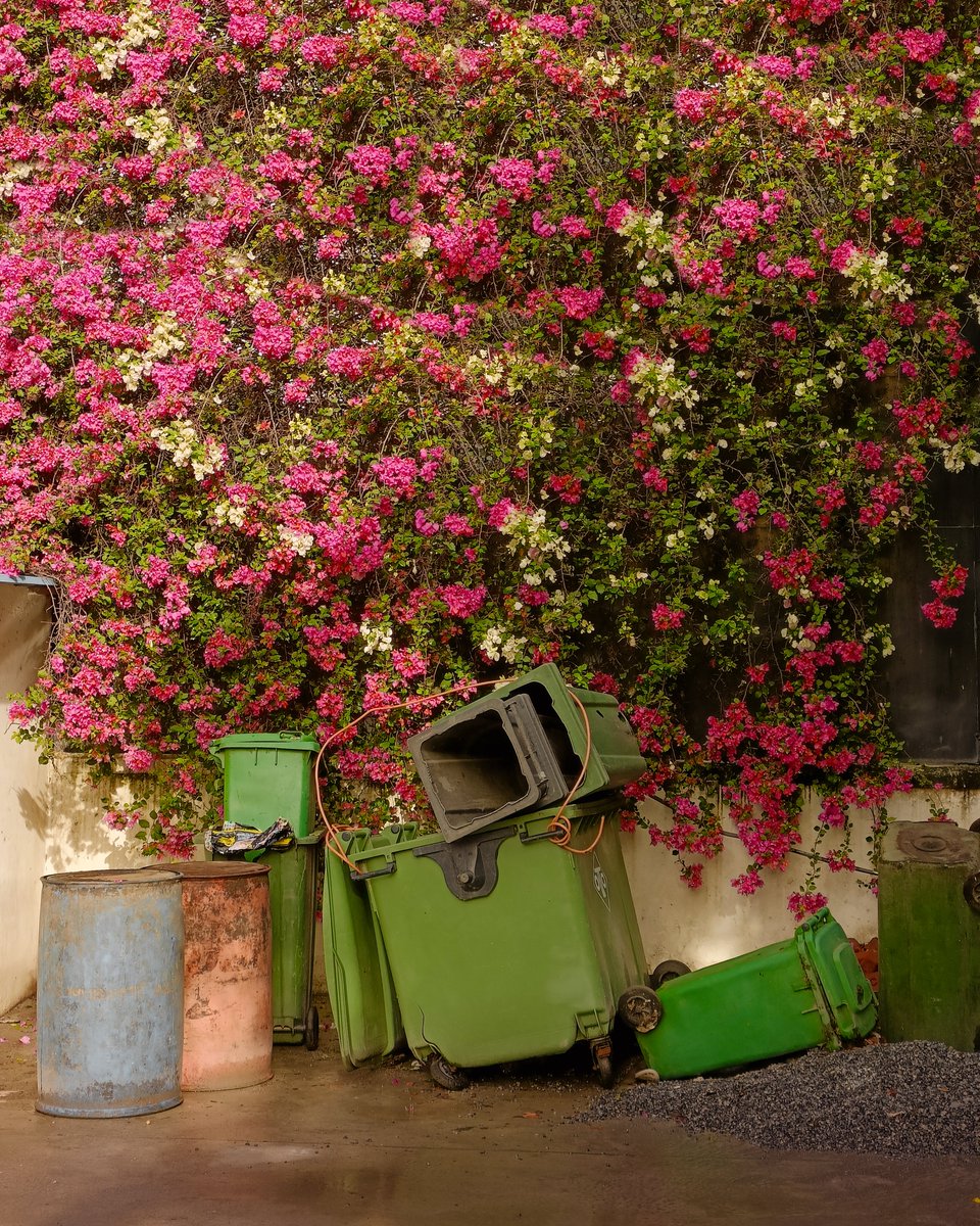 AdvaitNawathe's tweet photo. Dustbins in pretty places lmao https://t.co/Kc73uQGcfR