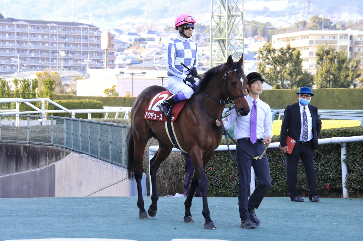 Ktetsu_117's tweet image. 2023.2.12　阪神11R 京都記念（GⅡ）
🥇ドウデュース × 武豊騎手

これがダービー馬の強さですか…
2着に3馬身半の差をつけての圧勝、お見事でした🎉
#武豊
#ドウデュース 
#京都記念2023