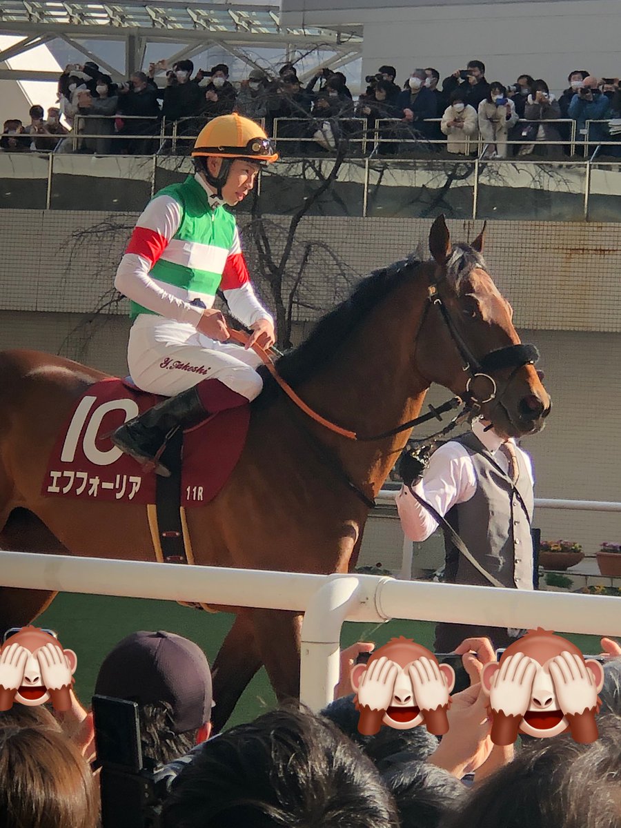 cafe_acr12424's tweet image. エフフォーリアくんパドックでの堂々とした周回、大好きな武史くんとのレースを前にやる気がひしひしと伝わってきました☺️
カメラ目線いっぱいくれてありがとうね🥰
#京都記念2023