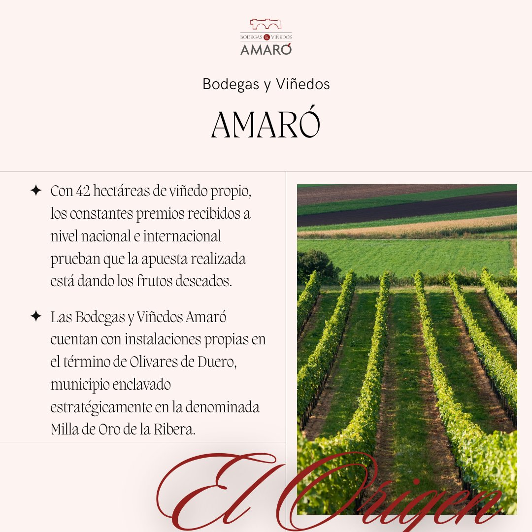 AmaroBodegas's tweet photo. 🍇𝗘𝗟 𝗢𝗥𝗜𝗚𝗘𝗡

🍷Las Bodegas y Viñedos Amaró cuentan con instalaciones propias en el término de Olivares de Duero, municipio enclavado estratégicamente en la denominada Milla de Oro de la Ribera. https://t.co/AmR8CDV8bm
