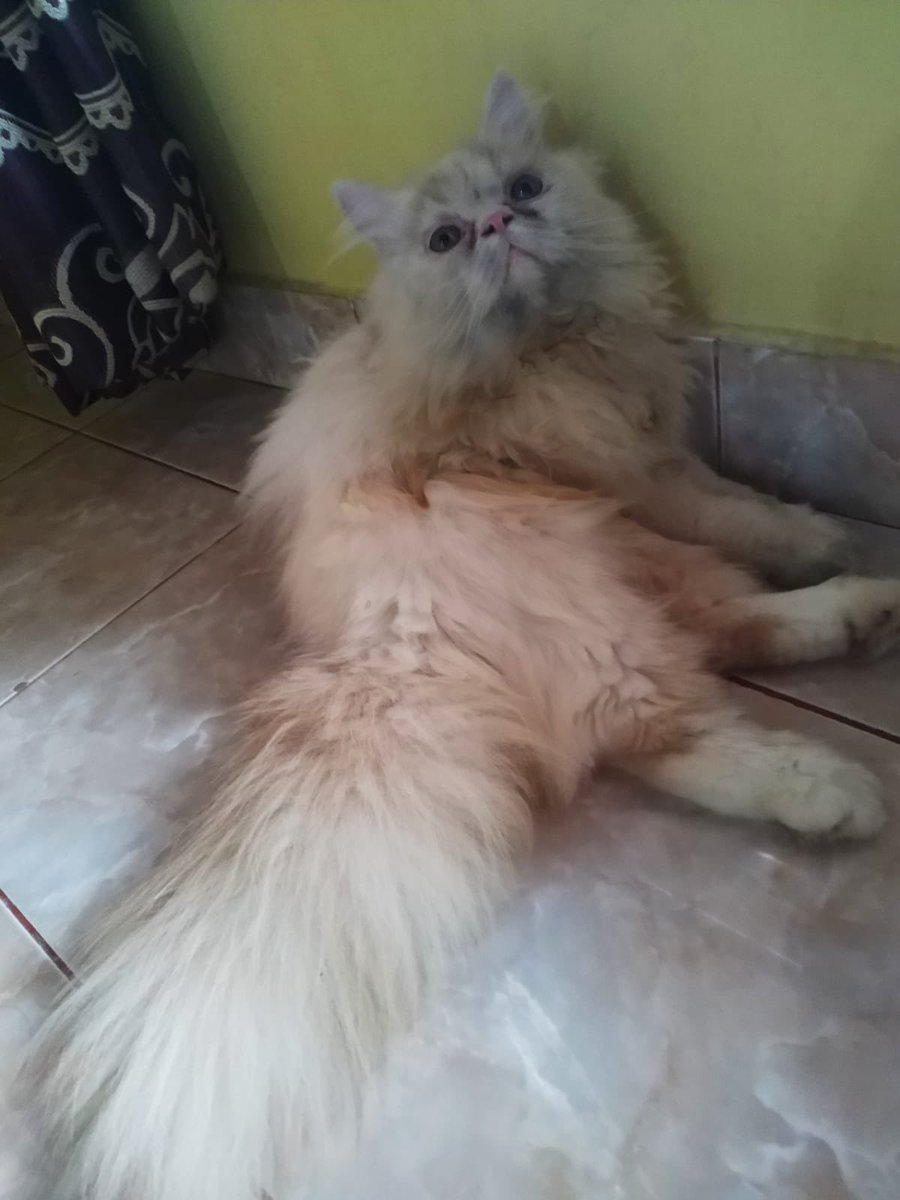 marindasss's tweet photo. Habis main di bekas bakar bakaran jadi cemong mukanya😭 https://t.co/xxqOifMnkf