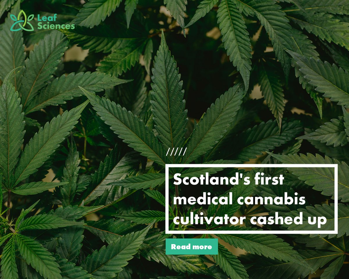 Scotland’s first medical cannabis cultivator and soon-to-be production facility have managed to raise millions of dollars from investors.

Learn more about this exciting new project in this article from <a href="/auhempgazette/">Hemp Gazette</a>: ow.ly/YfS250MKrCb

#Scotland #cannabis #hemp