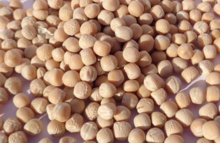 Simpleas Plant Based tweet media