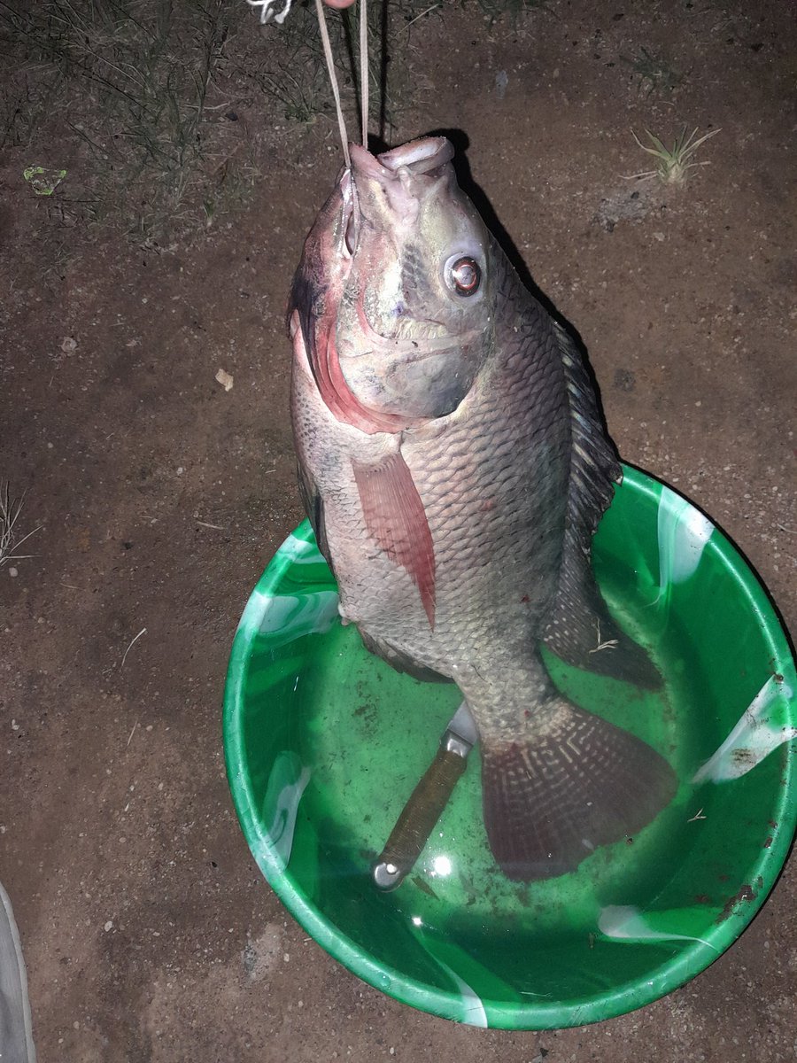 calli_mwalimu's tweet photo. tukiwaambia tunatoka #Mwanza oooh #Wasukuma ππ https://t.co/VKjiAI7hjF