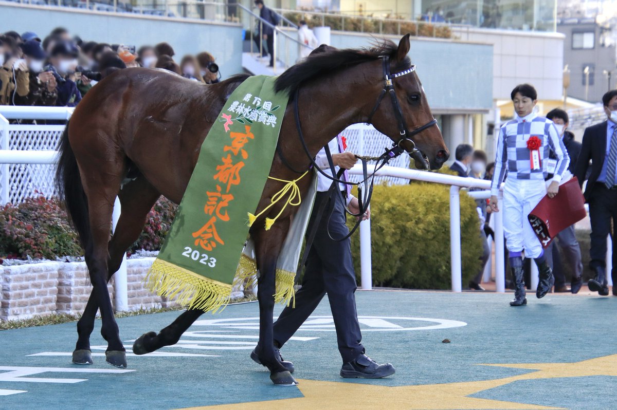 Ktetsu_117's tweet image. 2023.2.12　阪神11R 京都記念（GⅡ）
🥇ドウデュース × 武豊騎手

これがダービー馬の強さですか…
2着に3馬身半の差をつけての圧勝、お見事でした🎉
#武豊
#ドウデュース 
#京都記念2023