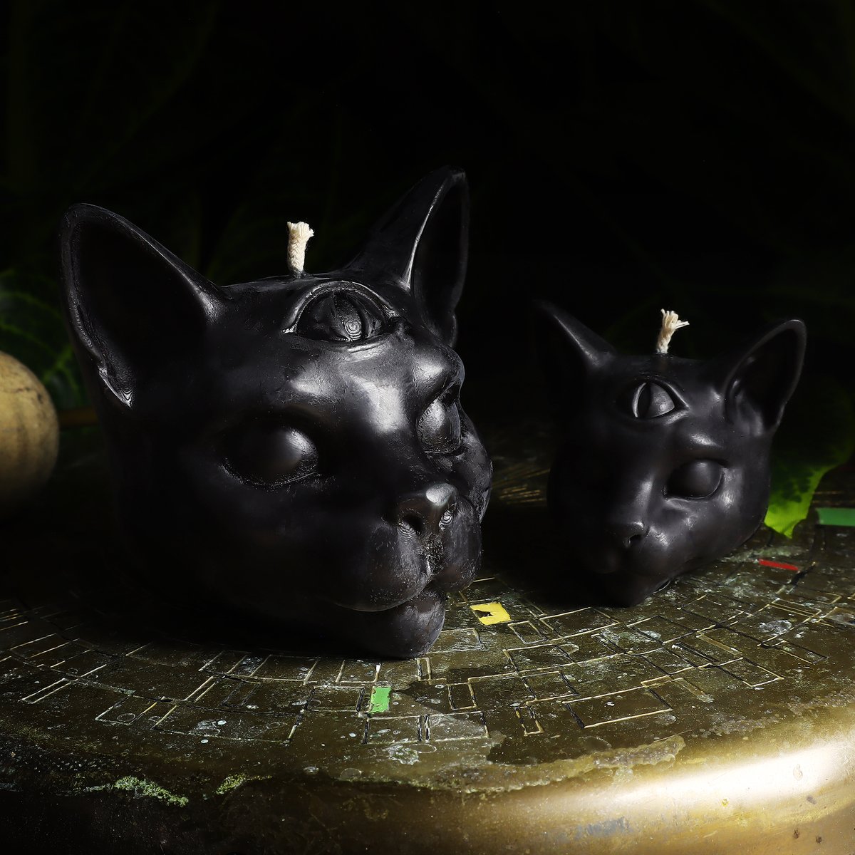freakbutik_de's tweet photo. 🕯️ #Candle #threeeyed #cat 😺
new 🔹 available in 2 sizes 🔹 online & offline
#instacats #Katze #schwarzeKatze #dreiauge #blackcat #candles #ilovecats #threeeyedcat #cats_of_world #berlin #friedrichshain #boxhagenerplatz #berlinshopping #freakoutfriedrichshain
#mystic https://t.co/w1HYKDBTmU