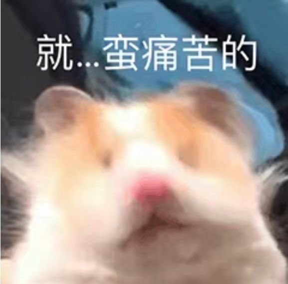 hwrh1995's tweet photo. 我想做爱，但是我又丑又胖又矮又不会说话！请问该怎么办呢？🐶🐶🐶🐶 https://t.co/8AyGIM8cDF