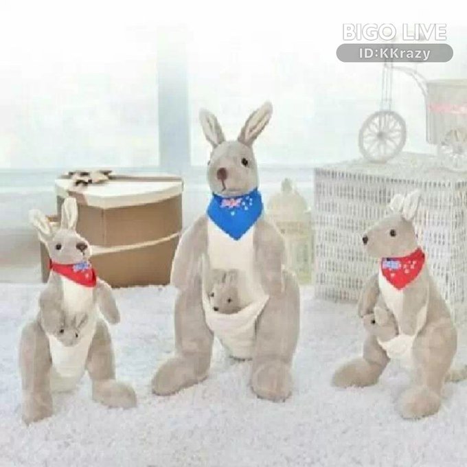 Come to chat in KKrazyBaby 🦍🖤's LIVE room and earn bonus! New users fill in my invitation code 4357577128<a href="/tag/bigolive"class="tags"><span>#bigolive</span></a>