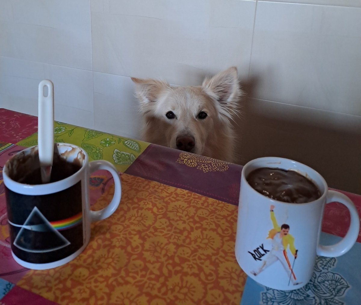 Diumenge matí de xocolata calenta i alguna mirada expectant..#PinkFloyd #Queen #BorderCollie