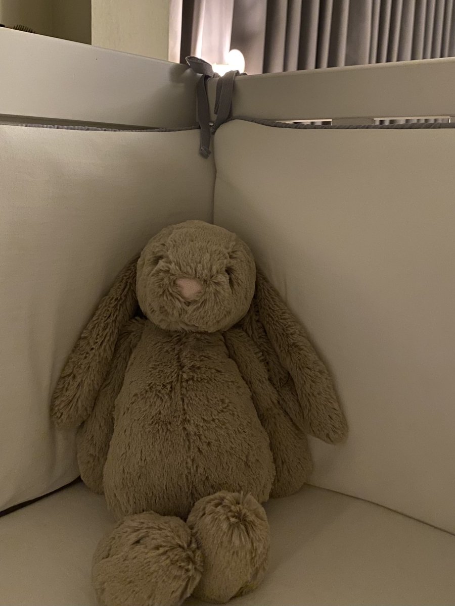 ตื่นเต้น อยากเจอลูกแล้ว 🐰🪄