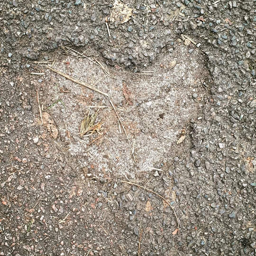 The layers wear away, to reveal a concrete heart, found by my daughter. #naturepoetry #nature #poetry #poetrycommunity  #naturephotography #poem #naturelovers #poetrylovers #naturepoem #poems #naturepoems  #poet #writingcommunity #photography #haiku  #haikupoem #haikupoetry