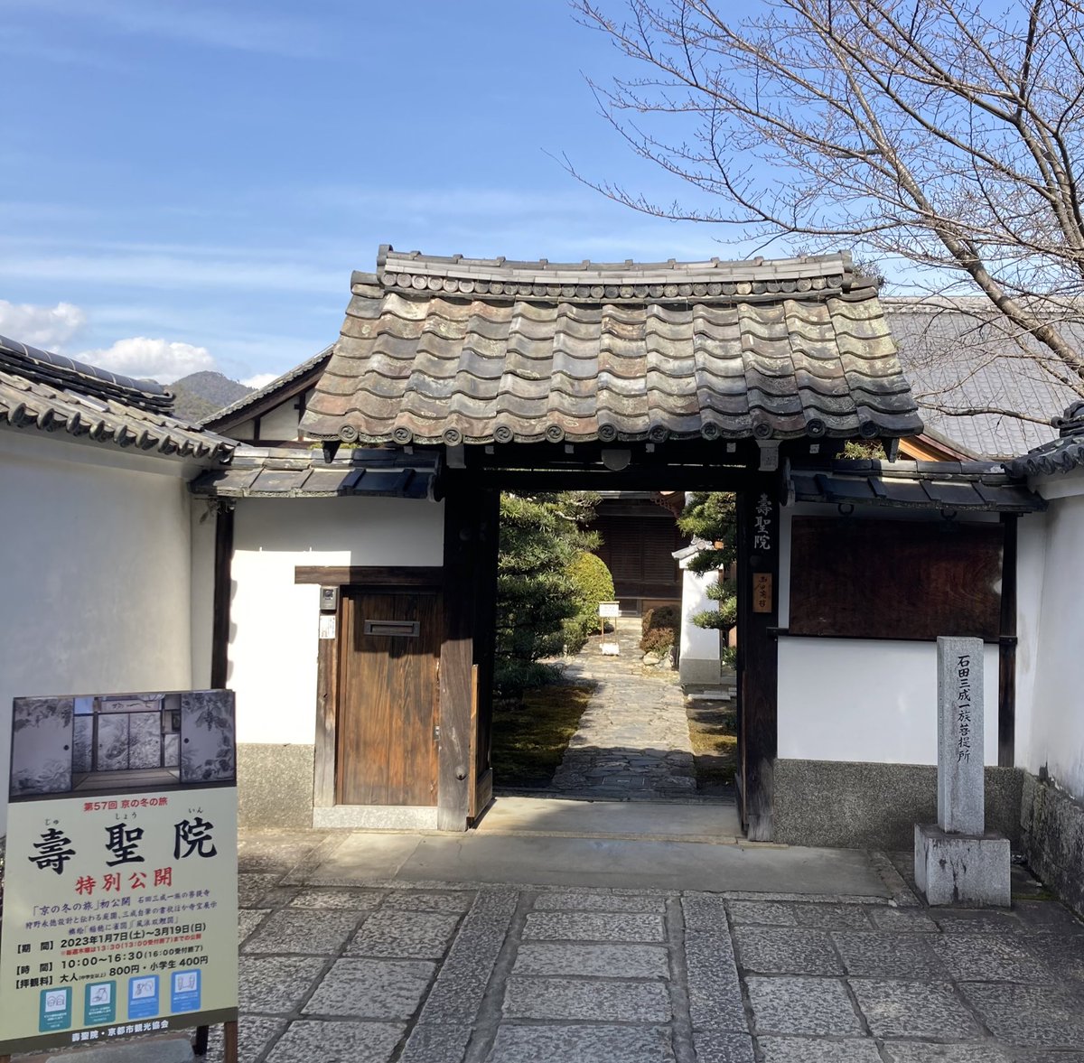 うめ@備後国鯖 tweet media