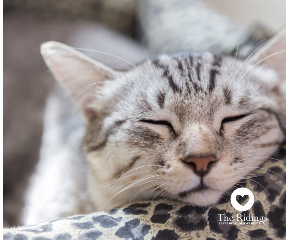 The Ridings Centre on Twitter "Morning! Don’t rush, have a liein