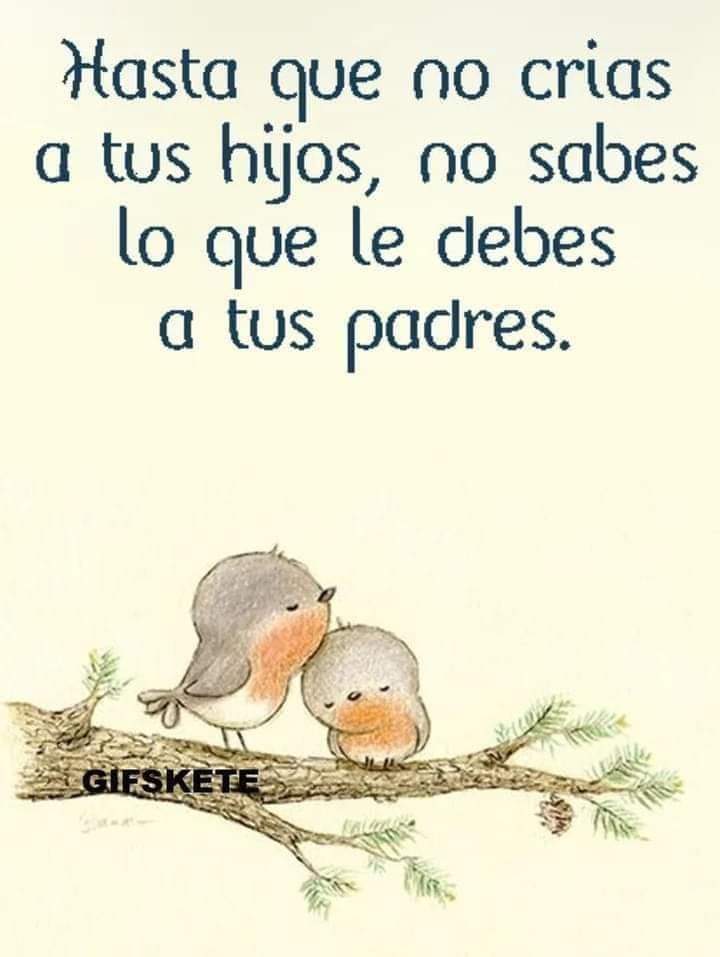 VidaEquilibrad4's tweet photo. https://t.co/nV9I2tvBjf