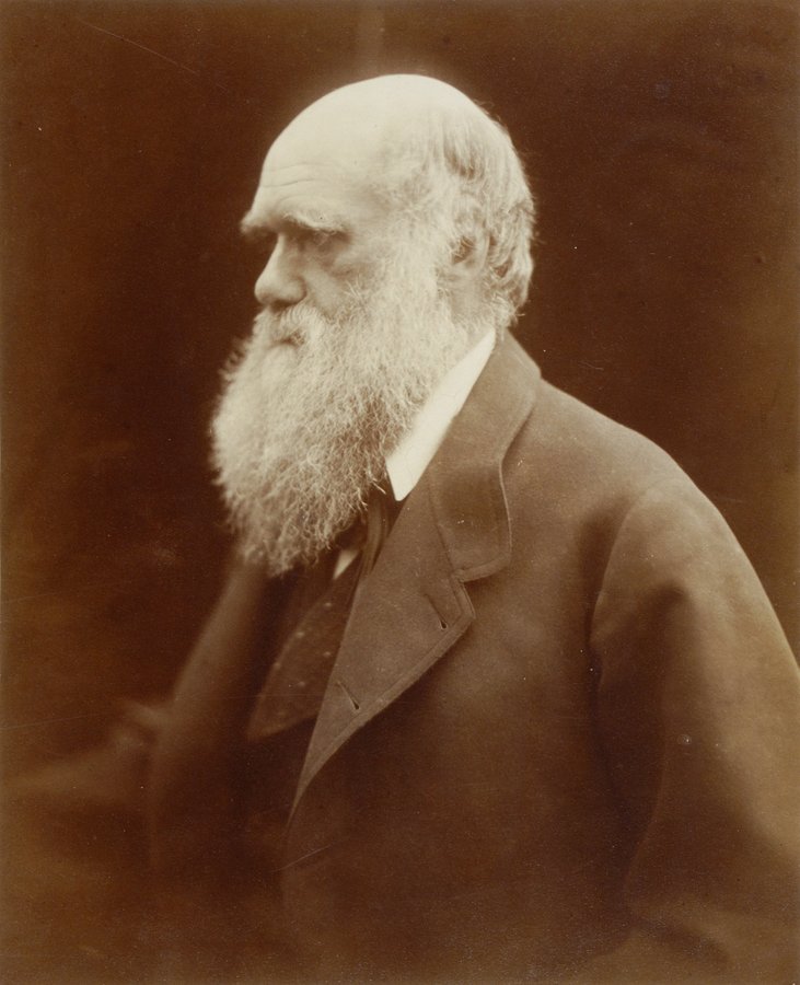 The great Charles Darwin FRS born #OnThisDay in 1809. This photo is from our archives, and was one of his favourite portraits. 'I like this photograph very much better than any other which have been taken of me.' #DarwinDay #HistoryOfScience