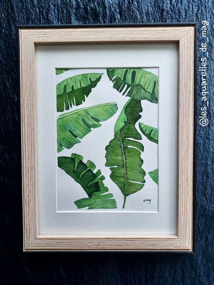 Magali_Boo's tweet photo. Feuille de bananier [1]
les_aquarelles_de_mag 🖌️🎨🐞 https://t.co/LSBxiJVlL2