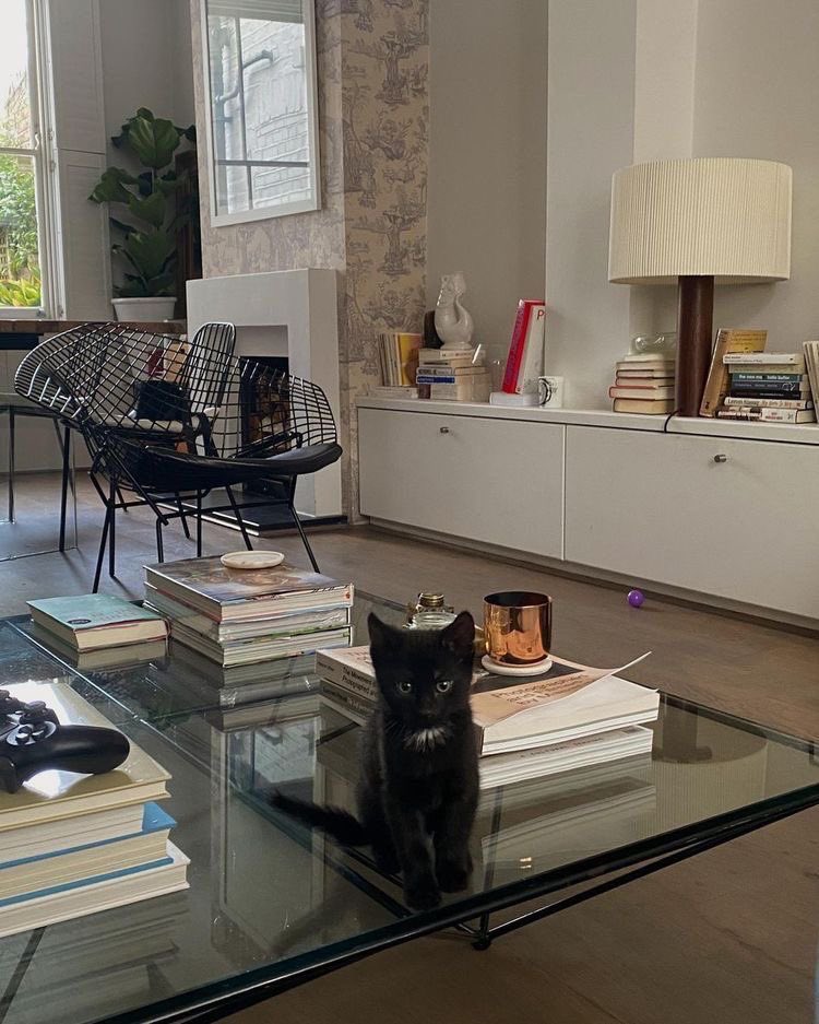 seraphicgirl_'s tweet image. workout day