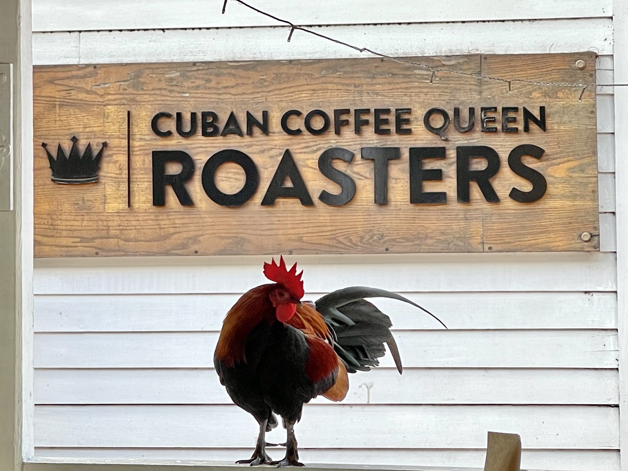 Vada Magazine on Twitter "Cuban Coffee Roasters perfect spot to take