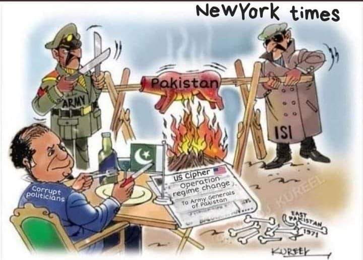 نیو یارک ٹائم میں شائع ہونے والا کارٹون!