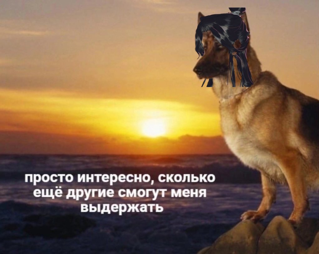 #tgcf
се лянь момент